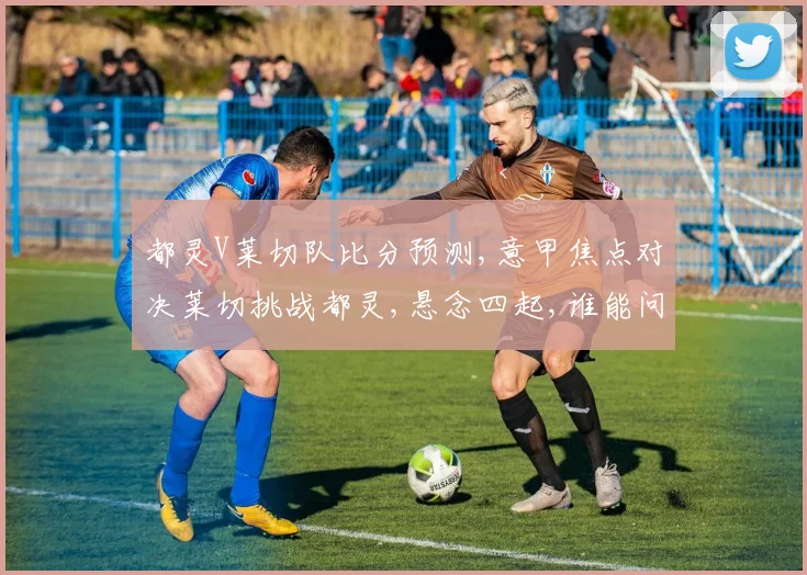 都灵V莱切队比分预测,意甲焦点对决莱切挑战都灵,悬念四起,谁能问鼎胜利